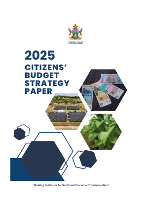 2025 - 公民预算战略文件